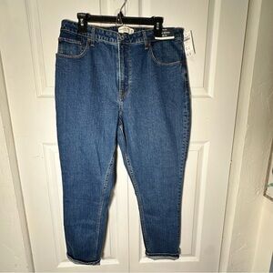 Abercrombie & Fitch Blue High Rise The Skinny Jeans 32 14 NWT